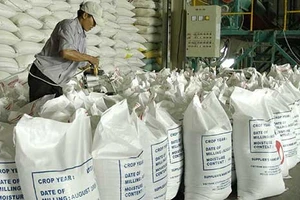 Xuất khẩu gạo sang TQ như ‘đánh bạc’