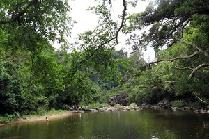 Bên trong vườn thượng uyển khổng lồ