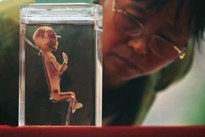 Trung Quốc: Tri thức ‘tăng trưởng nóng’