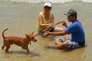 Trộm dưới 2 triệu đồng, có thể bị tù