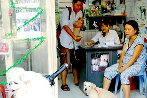 Trộm thú cưng, có nên khởi tố?