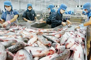 Mất 60 triệu USD vì không hiểu luật Mỹ