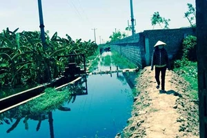 Xử hình sự pháp nhân về tội gì?