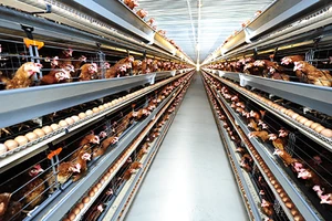 Nông nghiệp cõng hơn 1.000 loại phí, lệ phí