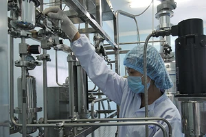 TP.HCM trả lương cực cao với nhân tài