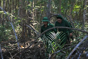 Không thu hồi đất rừng để xây trụ sở 