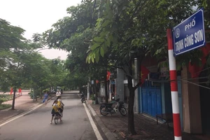 Hà Nội gắn biển phố nhà văn Nguyễn Đình Thi và nhạc sĩ Trịnh Công Sơn