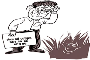 Cây nào cũng là cây?