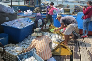 Người dân đổ cá trước cổng nhà máy chế biến hải sản phản đối ô nhiễm