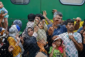 Châu Âu cứu người tị nạn: Khi nhà giàu rơi nước mắt