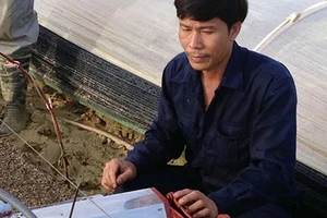 ‘Hai lúa’ Việt chinh phục ông chủ Israel 