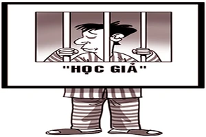 Lãnh án vì... tìm cách vào đại học