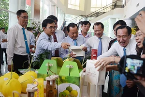 Nhà Bè và Hóc Môn được công nhận huyện nông thôn mới