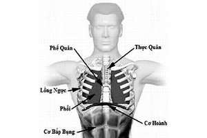 Làm sao có thêm trái tim phòng hờ?