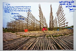 Phạt vì bêu xấu trên Facebook