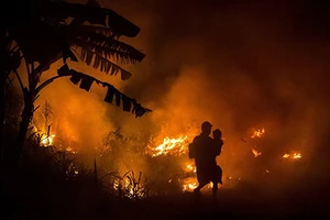 Cháy rừng tại Indonesia: Đe dọa sức khỏe cả khu vực