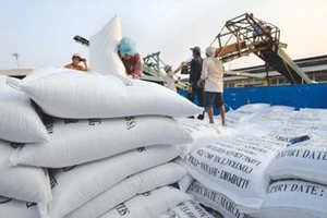 Giá lúa gạo tăng nhờ trúng thầu ‘khủng’