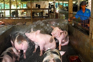 Bỏ nhiều loại phí để tăng sức cạnh tranh