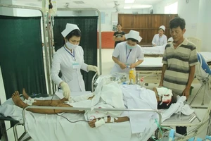 Hai cụ bà bị heo rừng cắn nguy kịch