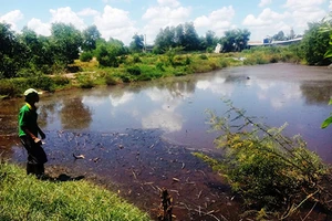 Trại heo quy mô lớn khiến dân khốn đốn