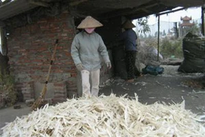 Phân bón công nghệ cao từ… lông gà, lông vịt