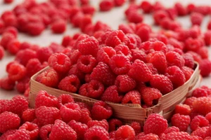 8 thực phẩm 'vàng' cho tiêu hóa