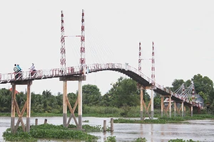 Cầu dây văng không phép chờ… sập