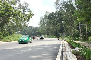 Xóa khu ổ chuột ở Công viên Gia Định