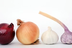 ‘Cõng’ hành tỏi ra Hà Nội để xóa bỏ lệ làng