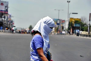 Trời nóng kỷ lục là do con người 