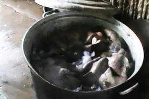 Khô bò làm từ phổi heo và hóa chất