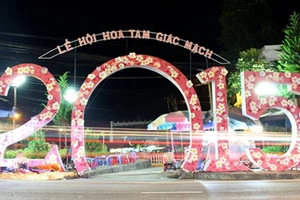 Khai mạc lễ hội hoa tam giác mạch