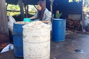 ‘Cuộc chiến’ cơm thừa - Bài 1: Mua ‘cơm heo’ cũng phải chung chi