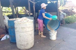 Cuộc chiến cơm thừa - Bài 2: Sóng ngầm trong giới ‘cơm heo’