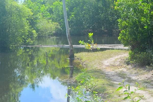 Ba học sinh chết đuối trên cái ao vô chủ?