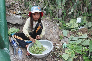 Những miếng xương rồng và giấc mơ đến trường