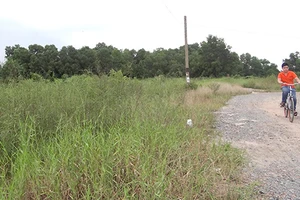 Công viên trăm tỉ ‘trùm mền’ chờ cứu 