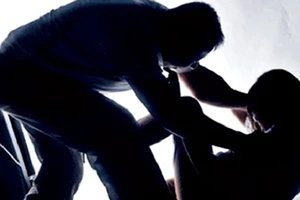 Cần cơ chế đặc biệt giúp phụ nữ bị bạo hành