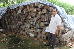 Vụ ‘nhập lậu gỗ’ đình đám: Bộ Công an đề nghị hải quan trả gỗ