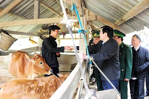 Chủ tịch nước tặng quà cho người dân vùng biên giới