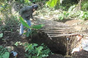 Đột nhập hầm vàng lậu giữa rừng cấm