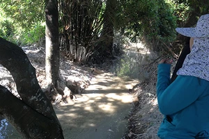 Trạm trộn bê tông giết chết con rạch