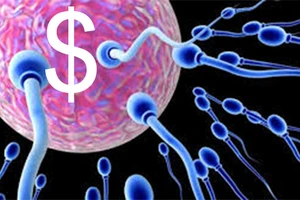 Lỗ hổng cho nhận trứng, tinh trùng, hậu họa khôn lường