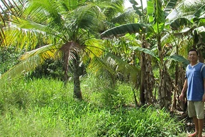 Treo bồi thường năm năm, dân lao đao