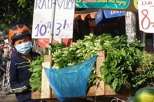 Ra đường là đụng ‘rau sinh thái’