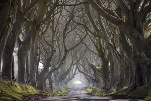 Diêm Vương cũng phải khóc!