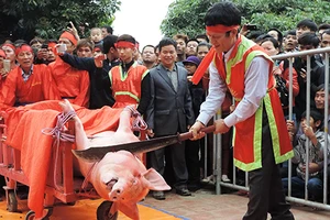 Tiếp tục tổ chức lễ hội chém lợn phản cảm?