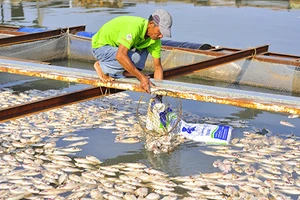 Nước mắt làng cá bè trên sông Đồng Nai