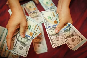 Làm gì để không mất tiền tỉ khi đô la nhảy múa ?