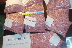 Tuồn hàng tấn ma túy đá vào Việt Nam 